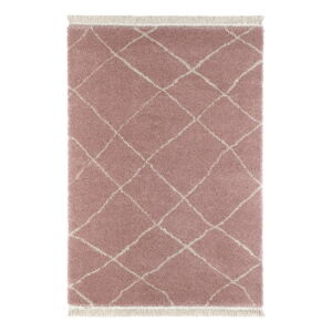 Ružový koberec 160x230 cm Bertha – Hanse Home