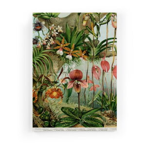 Obraz na plátne Surdic Jungle Flowers, 40 x 60 cm