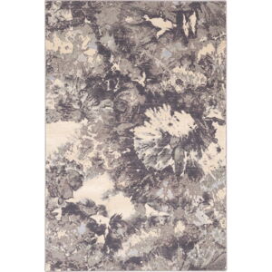 Sivý vlnený koberec 160x240 cm Daub – Agnella