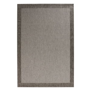 Sivý koberec 290x200 cm Simple - Hanse Home
