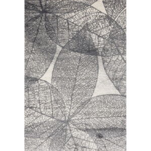 Sivý koberec 80x150 cm Lush – FD