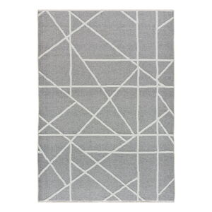 Sivý koberec 160x230 cm Lux – Universal