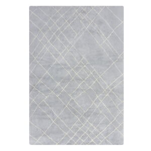 Svetlosivý prateľný koberec 160x230 cm Alisha – Flair Rugs