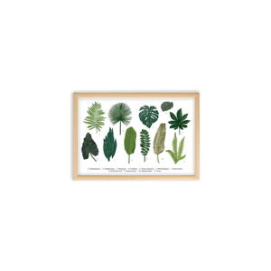 Obraz Surdic Leafes Guide, 50 × 70 cm