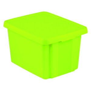 Plastový úložný box s vekom Essentials - Curver