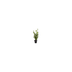 Umelá kvetina Bahne & CO, výška 55 cm
