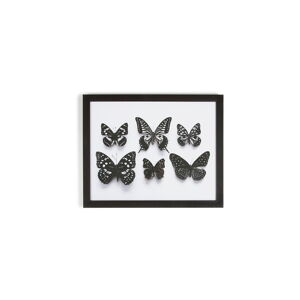 Obraz v ráme Graham & Brown Botanical Butterfly, 50 × 40 cm