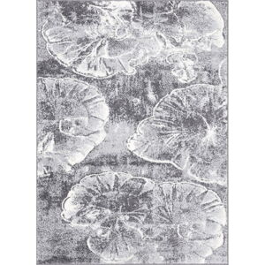 Sivý koberec 80x120 cm Avanti – FD