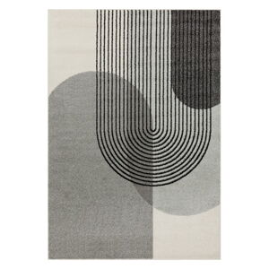 Sivý koberec 170x120 cm Muse - Asiatic Carpets