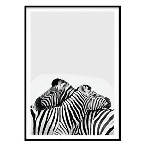 Plagát 20x30 cm Two Zebra - Piacenza Art