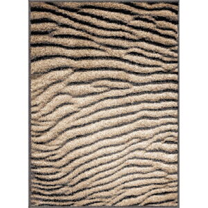 Hnedý koberec 133x180 cm Avanti – FD